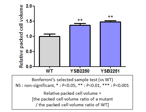 Capsule phenotype for CNAG_02322T0