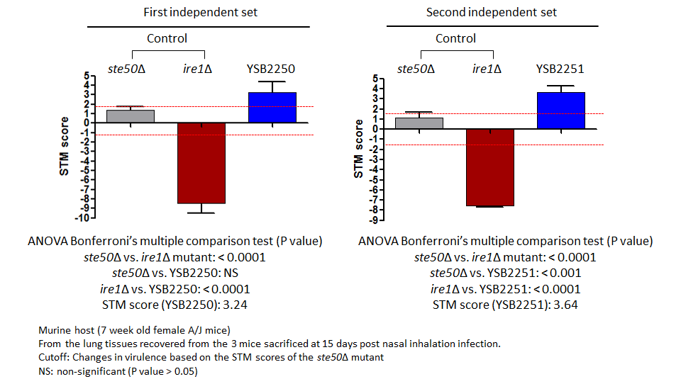 STM murine host model data for CNAG_02322T0