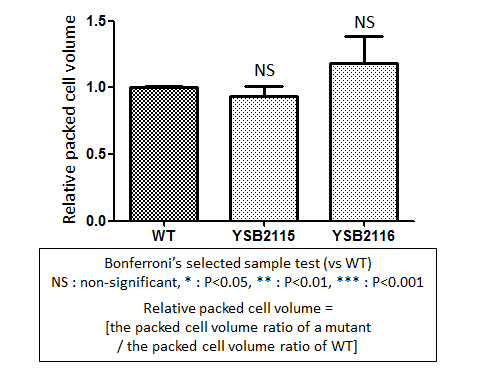 Capsule phenotype for CNAG_02364T0