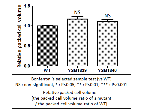Capsule phenotype for CNAG_02435T0