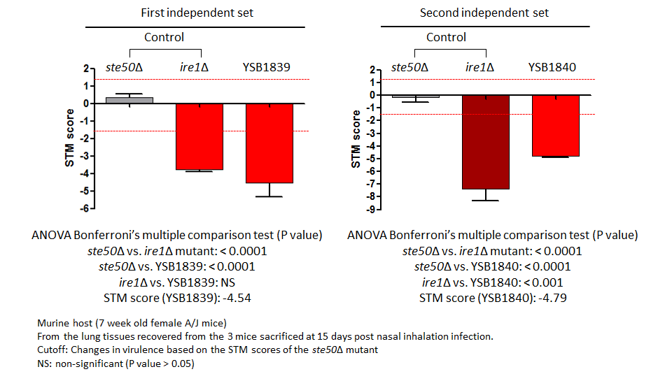 STM murine host model data for CNAG_02435T0
