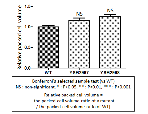 Capsule phenotype for CNAG_02476T1