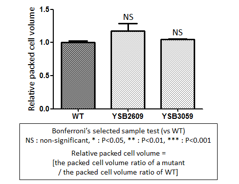 Capsule phenotype for CNAG_02516T2