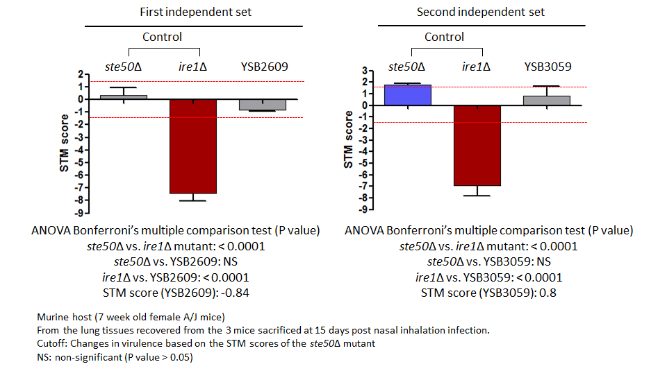 STM murine host model data for CNAG_02516T2
