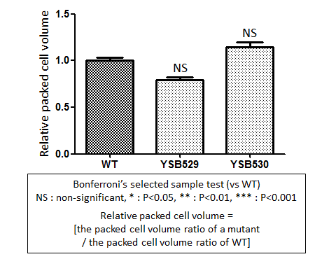 Capsule phenotype for CNAG_02555T0