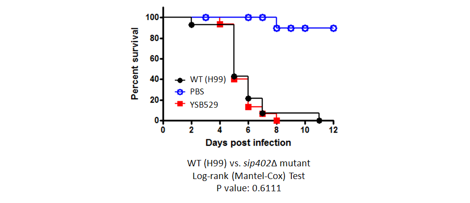 Galleria mellonella virulence data for CNAG_02555T0