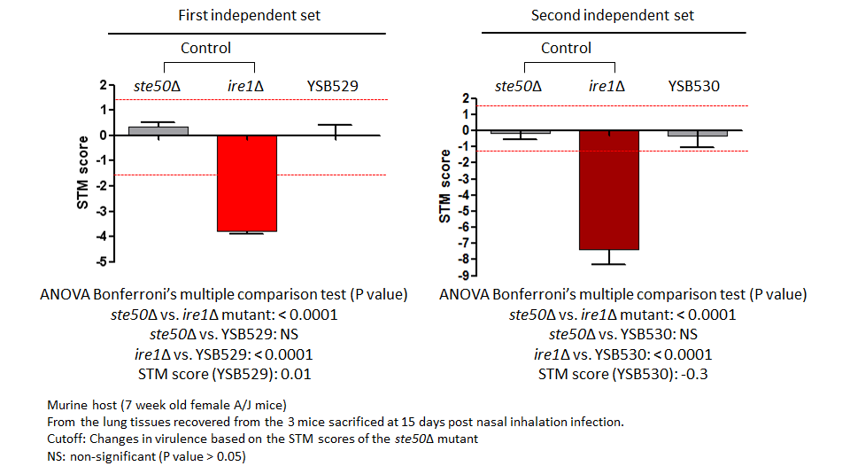STM murine host model data for CNAG_02555T0