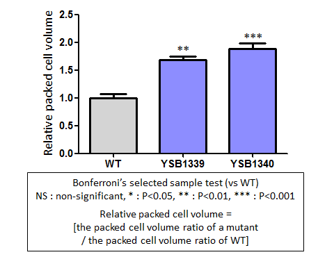 Capsule phenotype for CNAG_02566T0