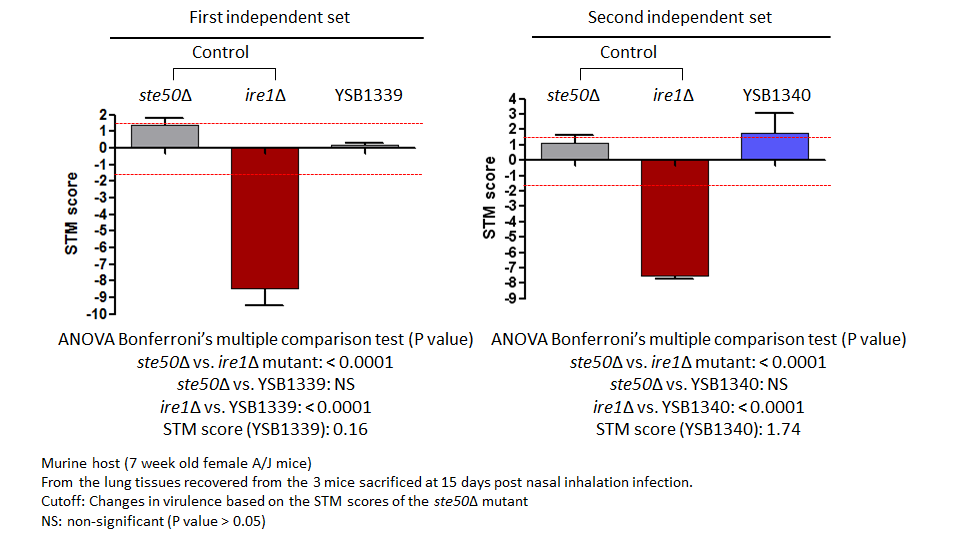 STM murine host model data for CNAG_02566T0