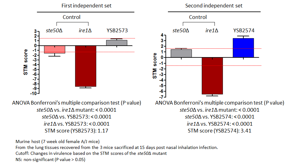 STM murine host model data for CNAG_02603T0