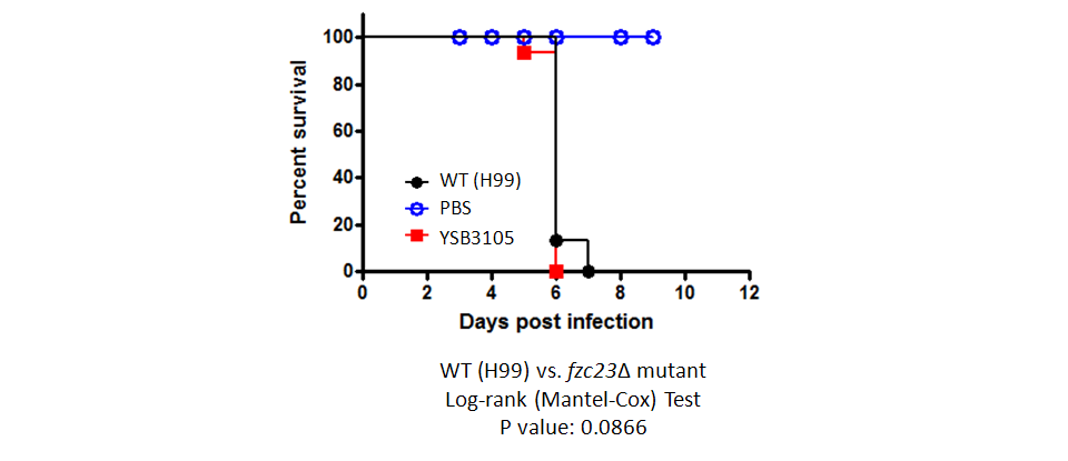 Galleria mellonella virulence data for CNAG_02723T0