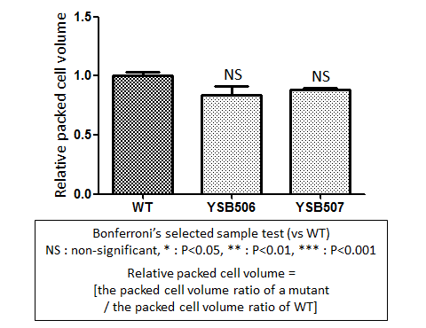 Capsule phenotype for CNAG_02774T0