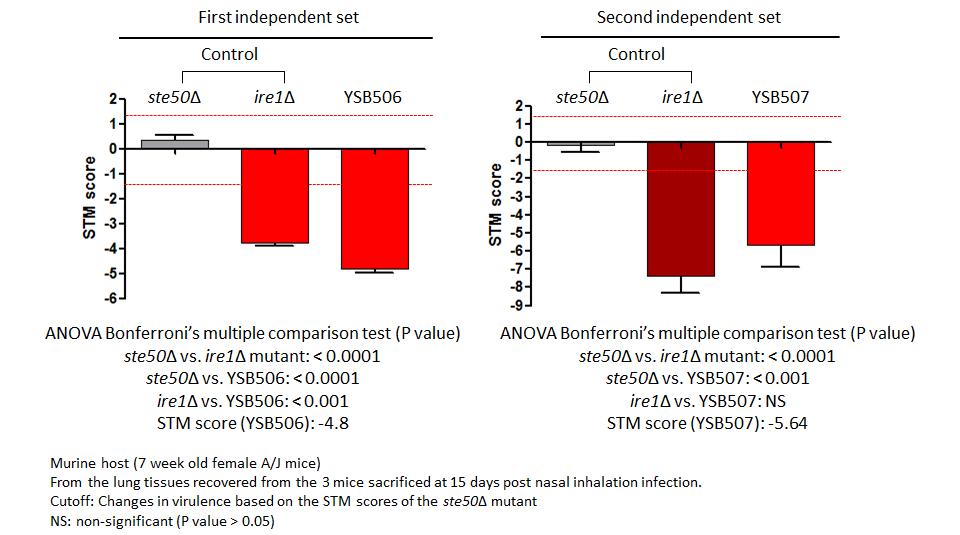 STM murine host model data for CNAG_02774T0