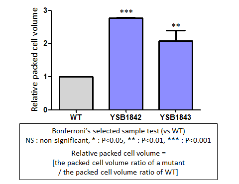 Capsule phenotype for CNAG_02877T0