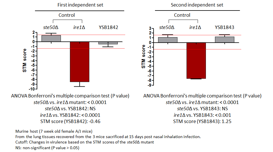 STM murine host model data for CNAG_02877T0