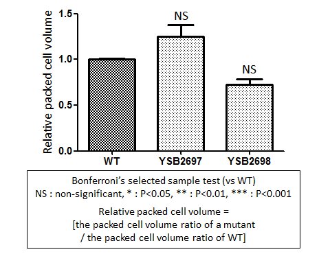 Capsule phenotype for CNAG_03018T0