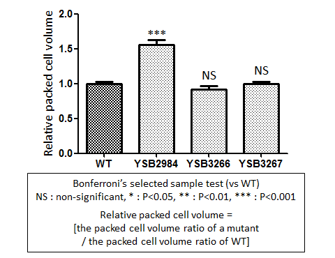 Capsule phenotype for CNAG_03059T0