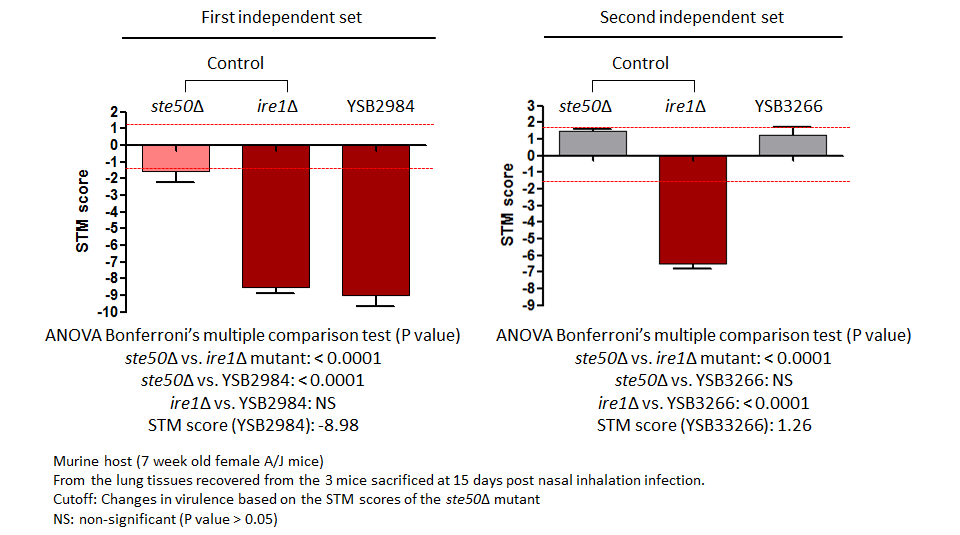 STM murine host model data for CNAG_03059T0