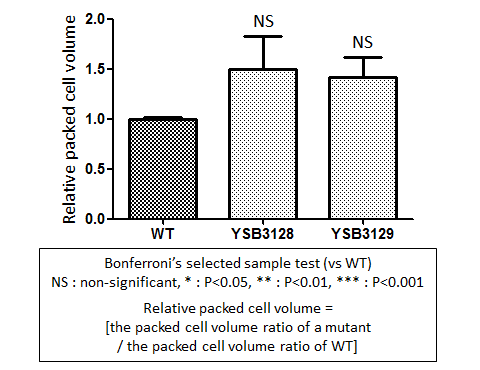 Capsule phenotype for CNAG_03086T1