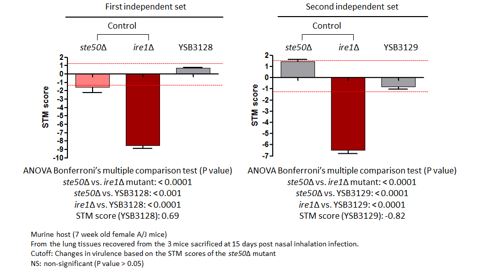 STM murine host model data for CNAG_03086T1
