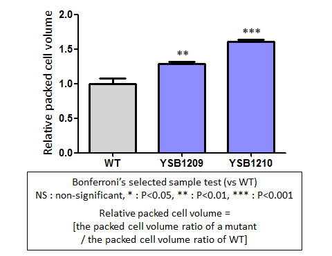 Capsule phenotype for CNAG_03115T0