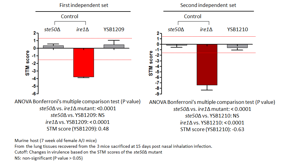 STM murine host model data for CNAG_03115T0