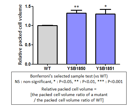 Capsule phenotype for CNAG_03116T0