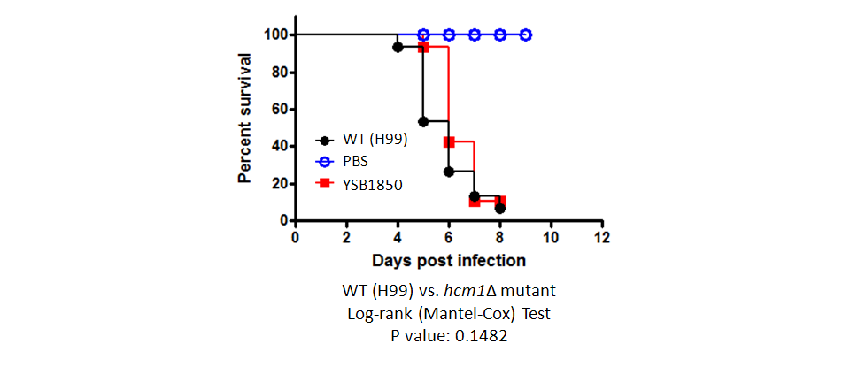 Galleria mellonella virulence data for CNAG_03116T0