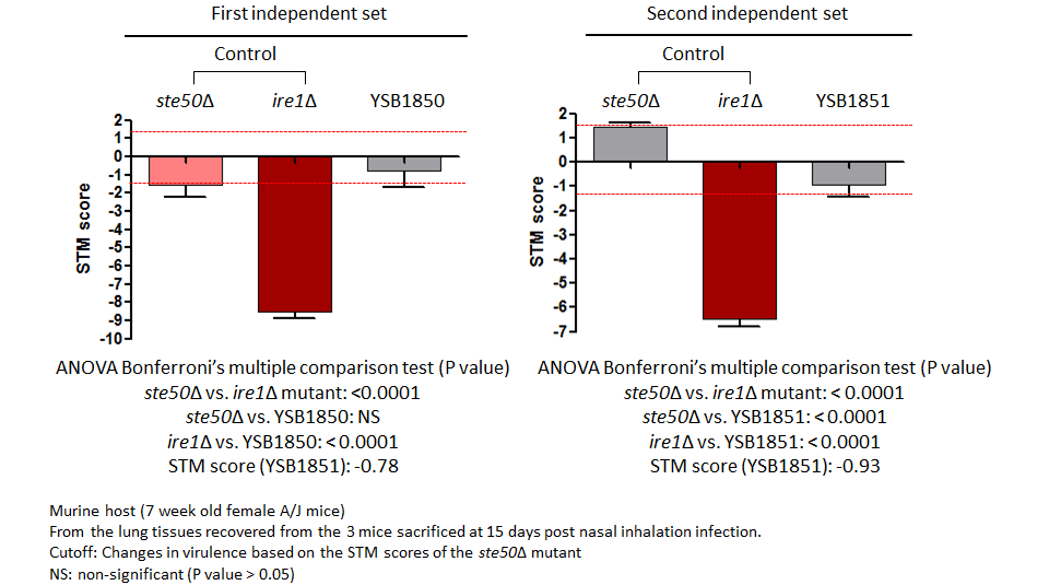 STM murine host model data for CNAG_03116T0