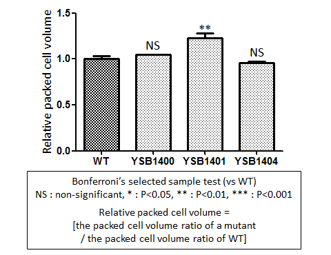 Capsule phenotype for CNAG_03132T0