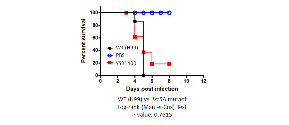 Galleria mellonella virulence data for CNAG_03132T0