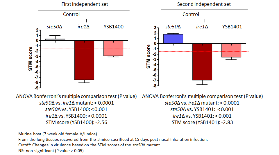 STM murine host model data for CNAG_03132T0