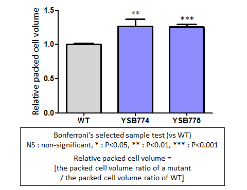 Capsule phenotype for CNAG_03183T0