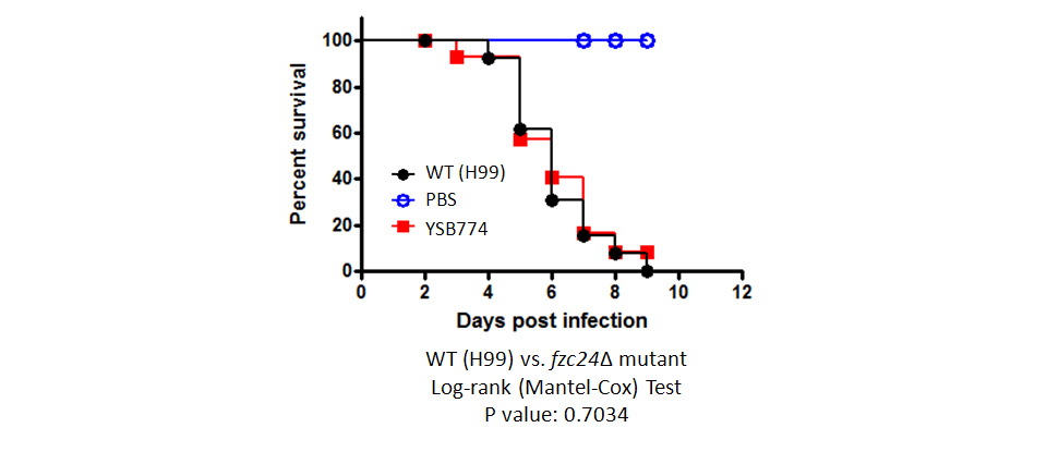 Galleria mellonella virulence data for CNAG_03183T0