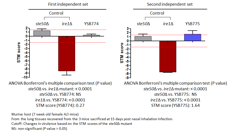 STM murine host model data for CNAG_03183T0