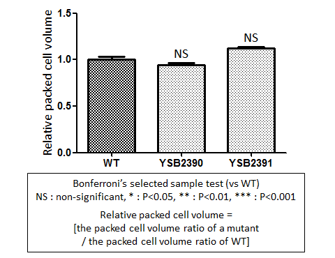 Capsule phenotype for CNAG_03212T0