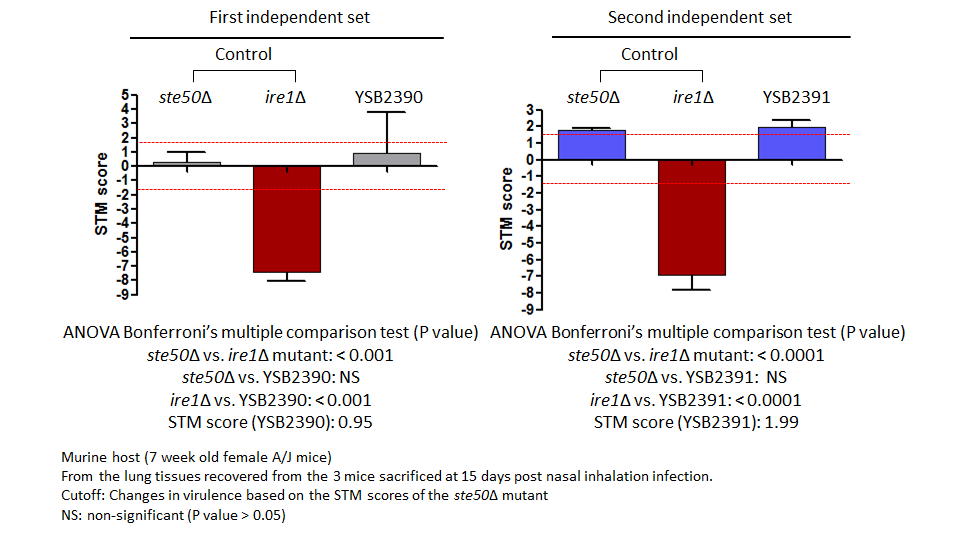 STM murine host model data for CNAG_03212T0