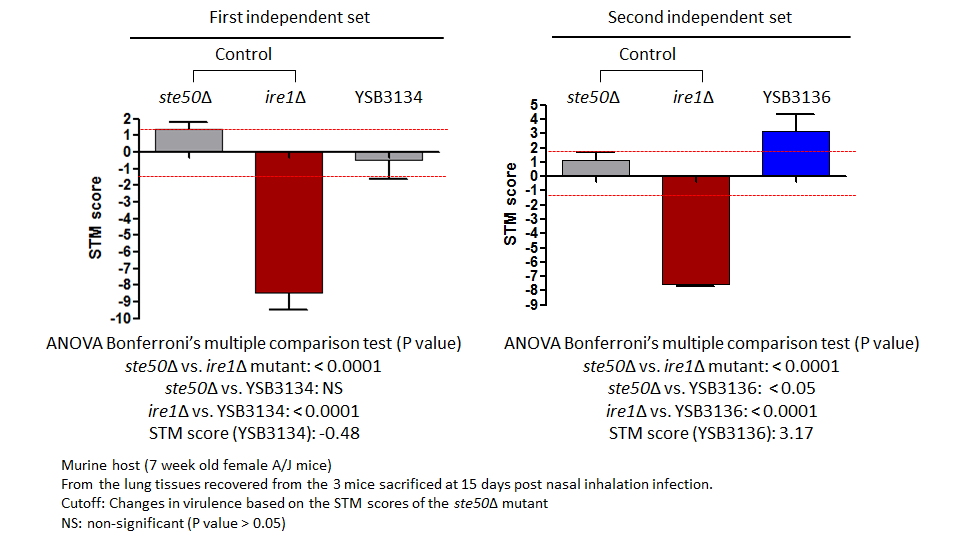 STM murine host model data for CNAG_03229T0