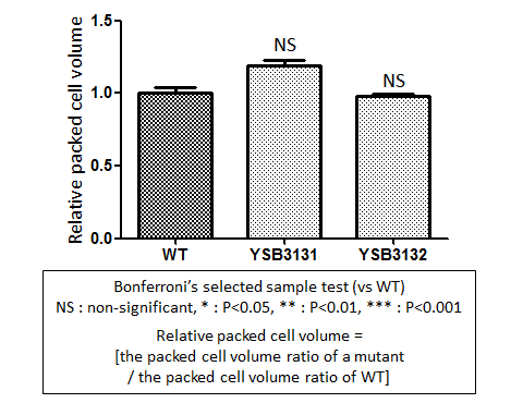 Capsule phenotype for CNAG_03336T0