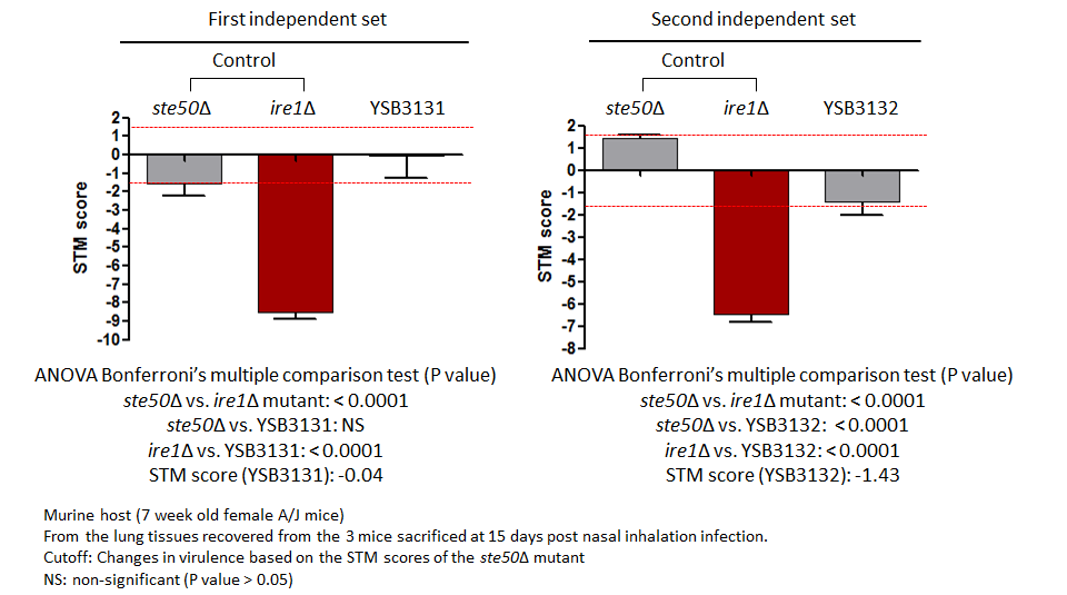 STM murine host model data for CNAG_03336T0