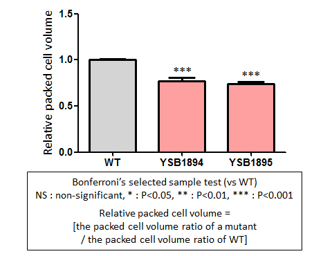 Capsule phenotype for CNAG_03346T0