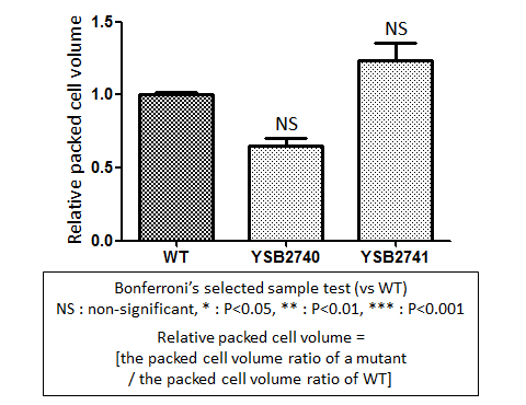 Capsule phenotype for CNAG_03366T1