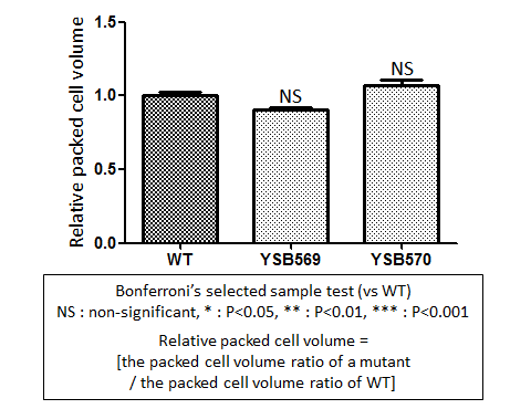 Capsule phenotype for CNAG_03401T0