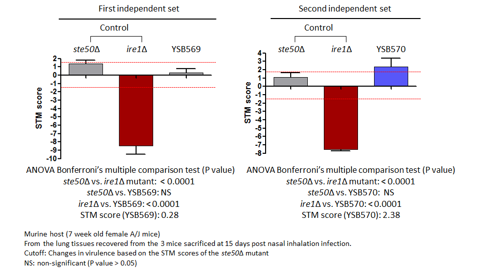 STM murine host model data for CNAG_03401T0