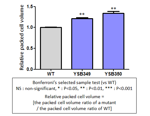 Capsule phenotype for CNAG_03409T0