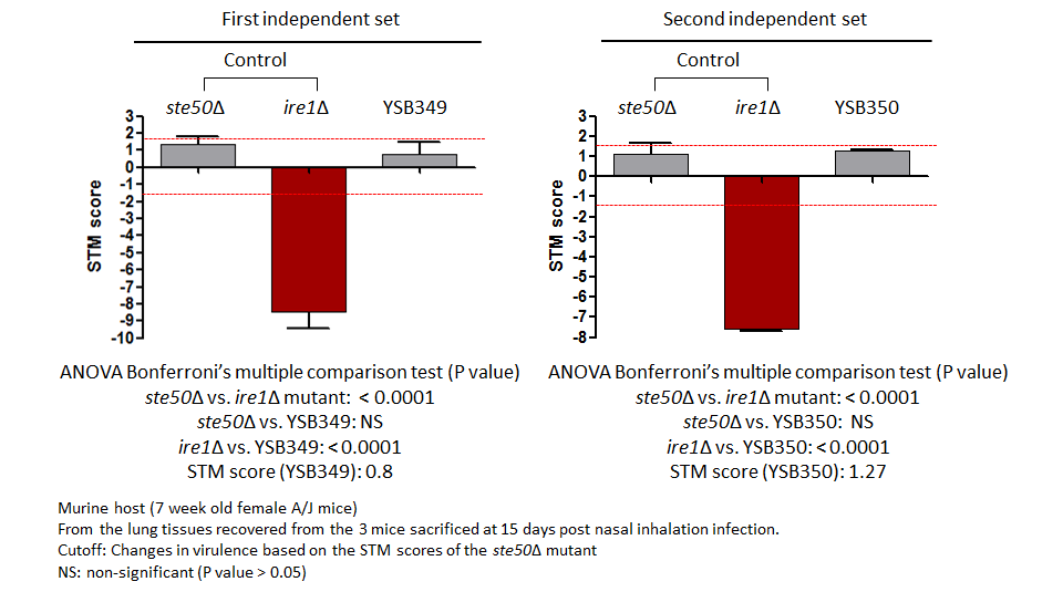 STM murine host model data for CNAG_03409T0