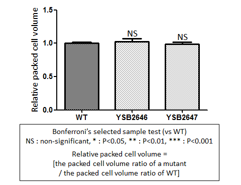 Capsule phenotype for CNAG_03431T0
