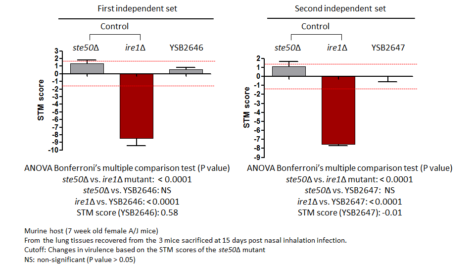 STM murine host model data for CNAG_03431T0