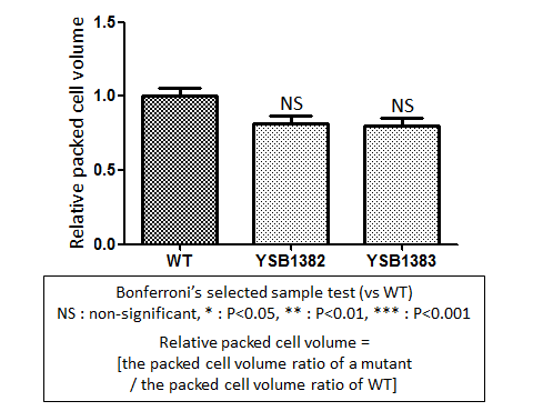 Capsule phenotype for CNAG_03527T0