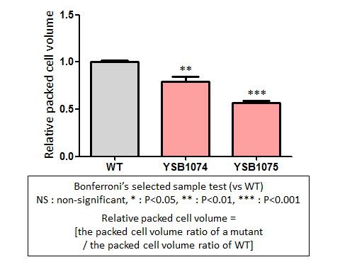 Capsule phenotype for CNAG_03561T0